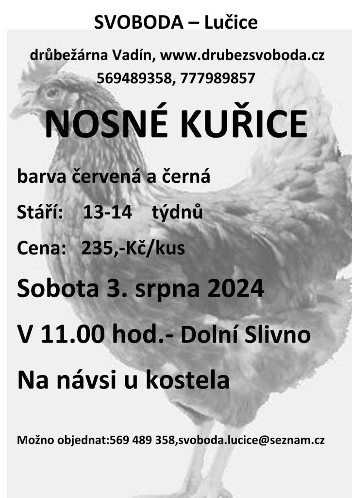 Prodej kuřic