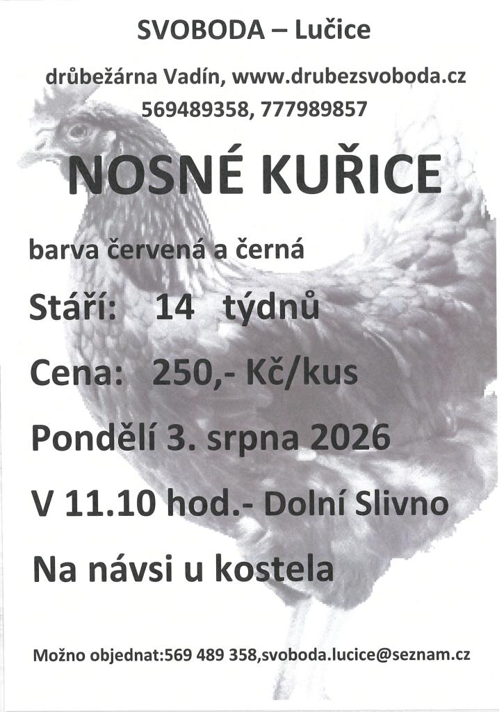 Kuřice