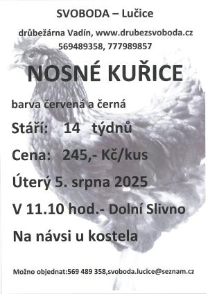 Kuřice
