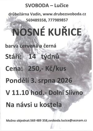 Kuřice